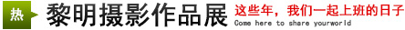 攝影展：這些年，我們一起上班的日子